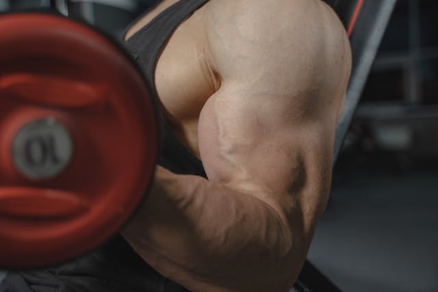Challenges in Muscle Building